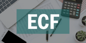 obrigatoriedades fisicais perguntas ECF 01 1