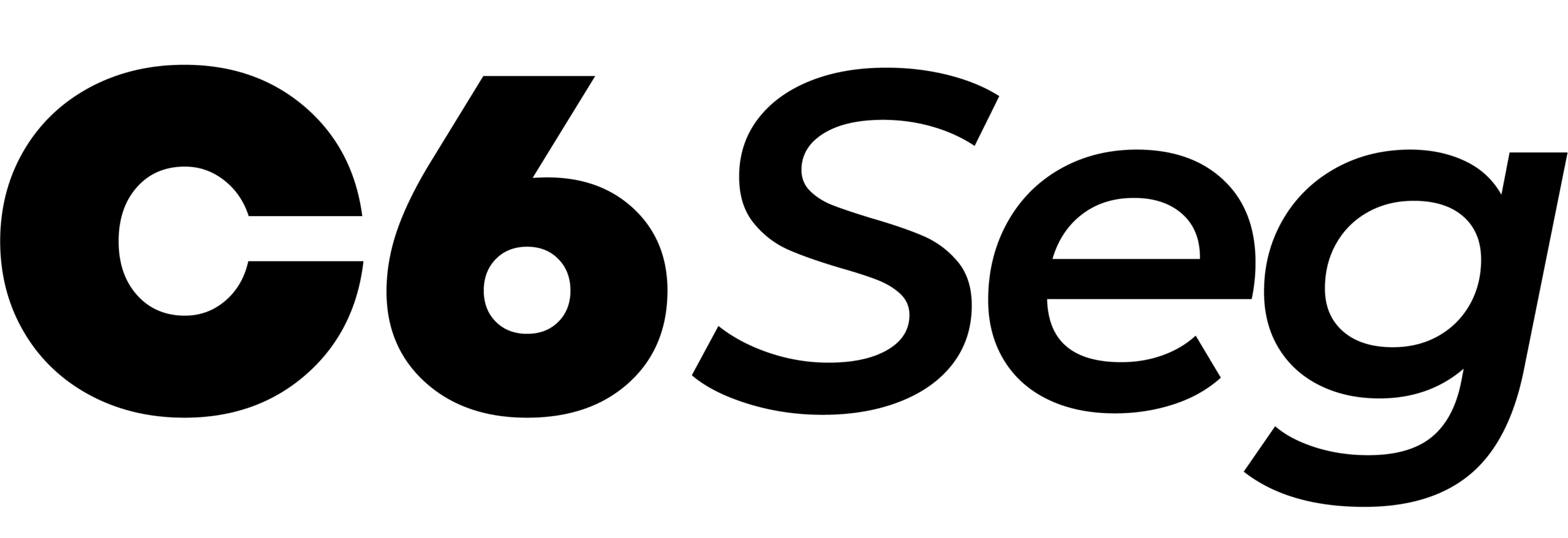 C6 Seg