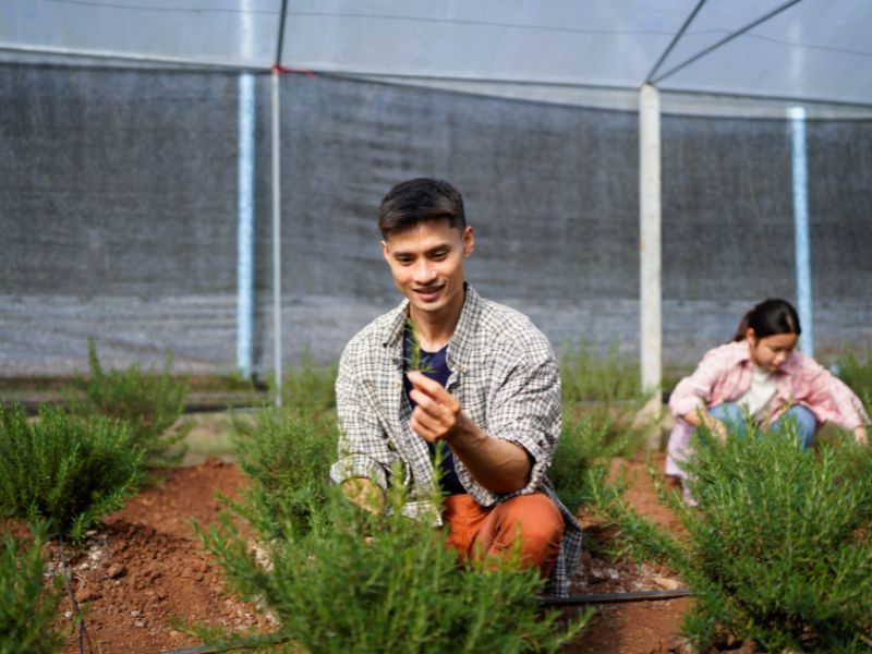 reforma tributária agronegócio impactos